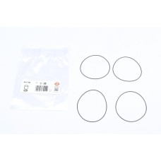 Прокладка гільзи циліндра ущільнююча Citroen C3/Fiat Fiorino/Peugeot 206/1007 1.4/1.4LPG 02-