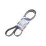 Ремінь генератора Iveco EuroCargo/MB Atego 3 3.9-7.7 00- (8PK1688)