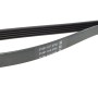 Ремінь генератора VW Passat B5/Audi A4/A6 1.6/1.8 95-
