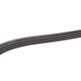 Ремінь генератора Renault Clio/Kangoo 1.4i/1.6 98-03 (4PK1238)