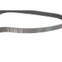 Ремінь генератора Jeep Wrangler 4.0 91-96/Volvo S90/V90 2.9 97-98/Ford Scorpio 2.0/2.3 94-98