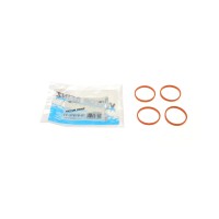 Прокладка колектора впускного BMW 1 (F20/F21)/3 (F30/F31/F80) 11- (к-кт) N13 B16