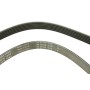 Ремінь генератора Ford Escort 1.4-1.8 92-00/Renault Laguna 1.8 93-01/VW Golf II/Passat B3/B4 88-97
