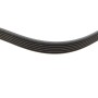 Ремінь генератора Fiat Scudo 1.6/ Renault Kangoo 1.9D 97-/ VW Golf/ Passat 1.6-2.0 90-02 (6PK894)