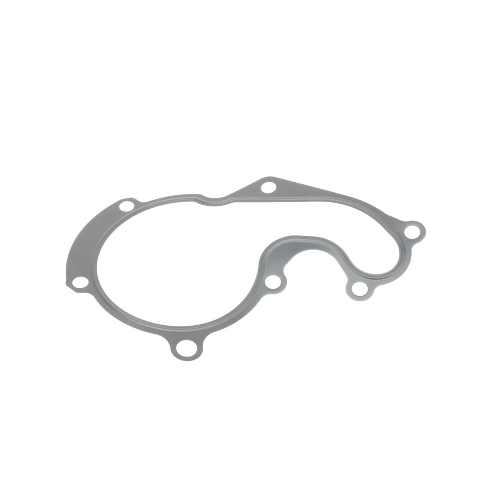 Прокладка помпи води Ford Connect 1.8TDCi 02-