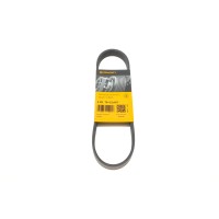 Ремінь генератора Seat Ibiza/Skoda Fabia/Rapid/Citigo/VW Polo/Up 1.0/1.6 14- (-AC)