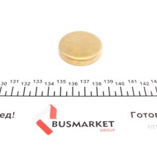 Заглушка блоку циліндрів (d=41.6mm) Латунь/Brass