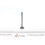 Клапан (впуск) Honda Civic IV/V/CRX II/Accord 2.0 16V/1.6 16V (29x5.5x115) (азотований)