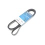 Ремінь генератора MB C-class (W202) 93-01/E-class (W124) M111 93-98/Ssangyong Korando 2.3/2.9D 96-06 (6PK2040)