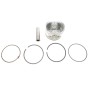Поршень Renault Megane II-III/Scenic II-III 1.6 02- (79.5mm/STD)