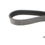 Ремінь генератора Ford Mondeo IV 2.5 07-15/Volvo S60/S80/V60/V70/XC60/XC70 07-16 (5PK628)