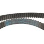Комплект ГРМ Citroen Berlingo/Jumpy/Peugeot Partner 1.6HDI/Fiat Scudo 2.0D 08- (141z)