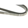 Ремінь генератора Fiat Doblo1.3-1.6 D 10-/Opel Astra F/Corsa B/Vectra B 1.4-1.8/ 94-03 (6PK1530)