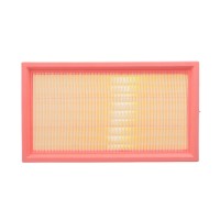 Фільтр повітряний Land Rover Range Rover 3.0D/3.0/4.4 21- (к-кт 2шт)