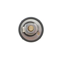 Термостат Ford Fusion/Fiesta/Focus 1.2-1.6 95- (82˚C)