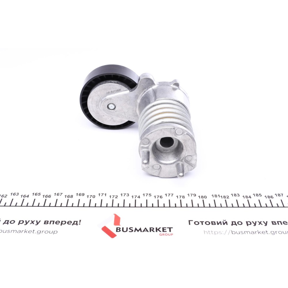 Натяжник ременя генератора Ford Kuga 2.5/Volvo C70 06- (F-556595.01)