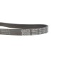 Ремінь генератора Skoda Octavia/VW Golf 1.6-2.0/1.9TDI 97-13/Passat B6/B7 1.8-2.0TSI/T5 1.9TDI 03-15