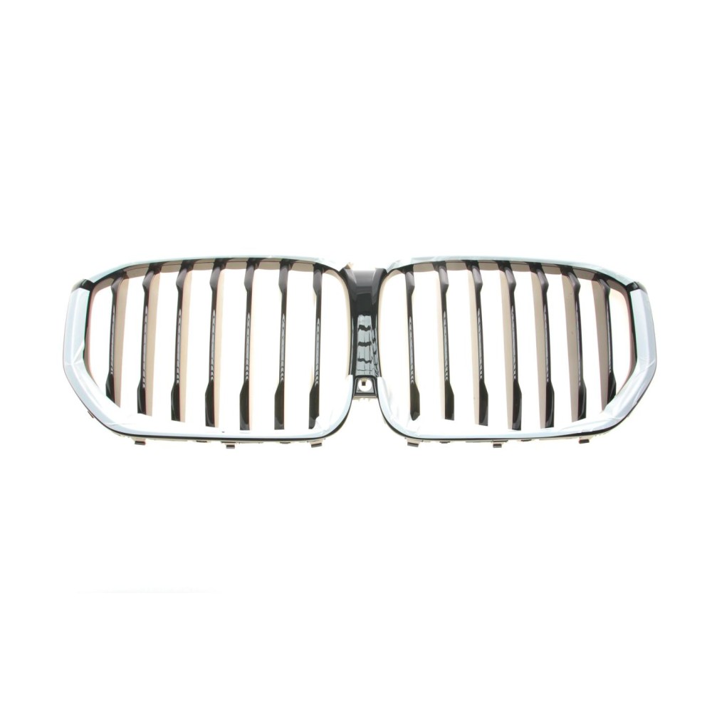 Решітка радіатора BMW X5 (G05) 18-