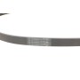 Ремінь генератора Citroen C4/C5 14-/Renault Kangoo/Clio 1.9D 97-/VW Passat B3/B4 88-97/Sharan 95-10