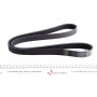 Комплект ременя генератора Citroen Jumpy/Fiat Scudo/Peugeot Expert 2.0HDi 04- (6PK1220)