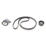 Комплект ременя генератора Renault Megane/Scenic 00-09, (5PK1750)