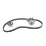 Комплект ГРМ + помпа Citroen Berlingo 1.1i 96-08/Peugeot 106/205/306/Partner 1.1 96-07 (17x104z)