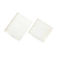 Фільтр салону Citroen C3 09-/C4 Cactus/Peugeot 2008 13-/207 06-15/208 12- (к-кт 2шт.)