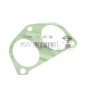 Прокладка колектора впускного Fiat Scudo/Peugeot Expert 1.9D (DW8)