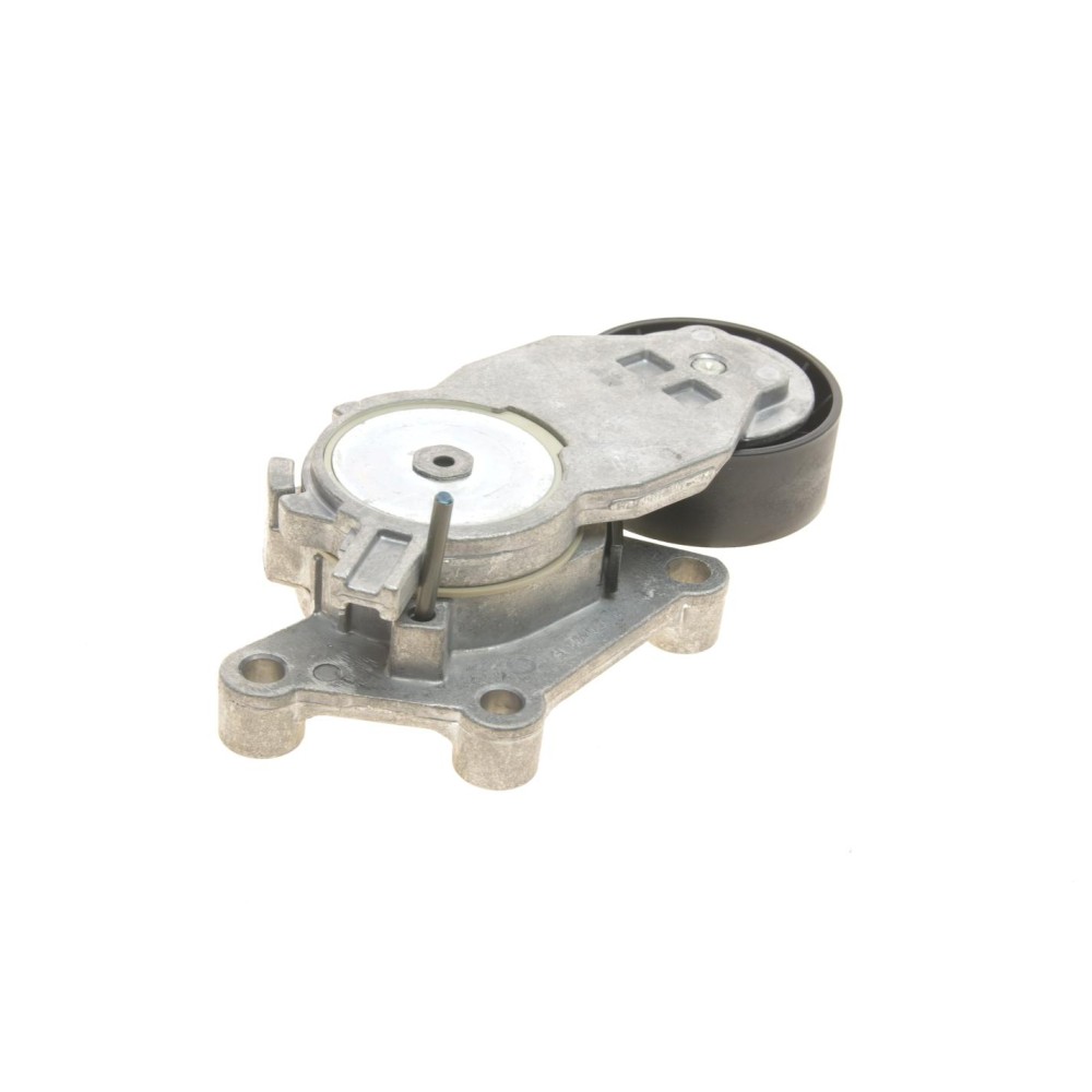 Натяжник ременя генератора Citroen/Peugeot/Ford 1.4HDi/1.6TDCi 01-