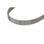 Ремінь генератора Ford Focus/Mondeo 2.0TDCi 14-/Fiat Bravo/Stilo 1.8/1.9D 07-