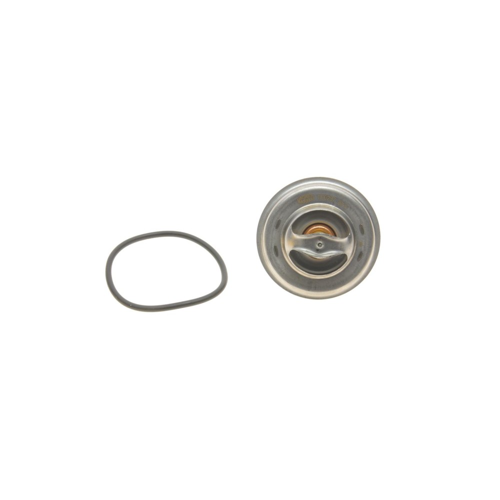 Термостат VW LT 28-46 96-06/T4 2.5 TDI 98-03 (87 °C)
