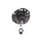 Амортизатор (передній) Ford Focus III 1.0-2.0 12- (L)