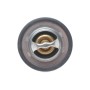 Термостат Opel Vivaro 2.0/Renault Kangoo 1.6 01- (89°C)