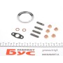 Комплект прокладок турбіни VW Crafter 2.5TDI 06-13 (65-120kw) BJJ/BJK/BJL/BJM