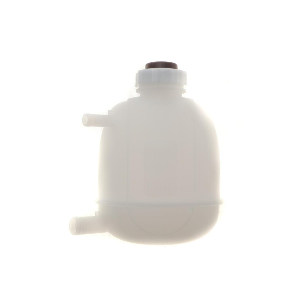 Бачок розширювальний Renault Megane 96-/Scenic 99-