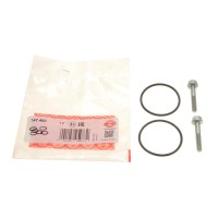 Комплект прокладок насоса муфти Haldex VW Caddy IV/Crafter/T6 2.0 TDI 15- 4motion