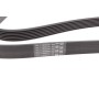 Ремінь генератора Renault Master/Nissan NT400 2.3 dCi 14-/Honda Accord/CR-V 2.4 03-