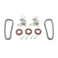Комплект ланцюга ГРМ Citroen C5/C6/Peugeot 407 2.7/3.0HDi 08-
