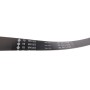 Комплект ременя генератора Citroen C5/C6/Peugeot 407/508/607/807 06- (6PK1203)