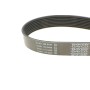 Ремінь генератора Mazda CX-7 2.2MZR-CD AWD 09-13
