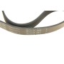 Ремінь генератора Citroen Jumper/Fiat Ducato/Peugeot Boxer 2.0 94- (6PK700)