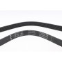 Ремінь генератора Citroen Jumper/Fiat Ducato/Peugeot Boxer 2.0/2.2HDi/JTD 02-