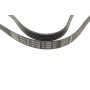 Ремінь генератора Citroen Berlingo 1.6HDi 05-11/Jumpy 2.0 00-06 (6PK1705)