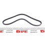 Ремінь генератора Fiat Ducato/Peugeot Boxer 2.2JTD/HDi 06- (4PK922)