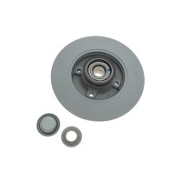 Диск гальмівний (задній) Citroen C3/C4 /Peugeot 207/307 05- (249х9) (+ABS)