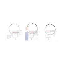 Кільця поршневі Citroen Berlingo/Jumpy/Peugeot Expert/Partner 1.5 BlueHDi 18- (75.00mm/STD) 1.75-1.5-2)