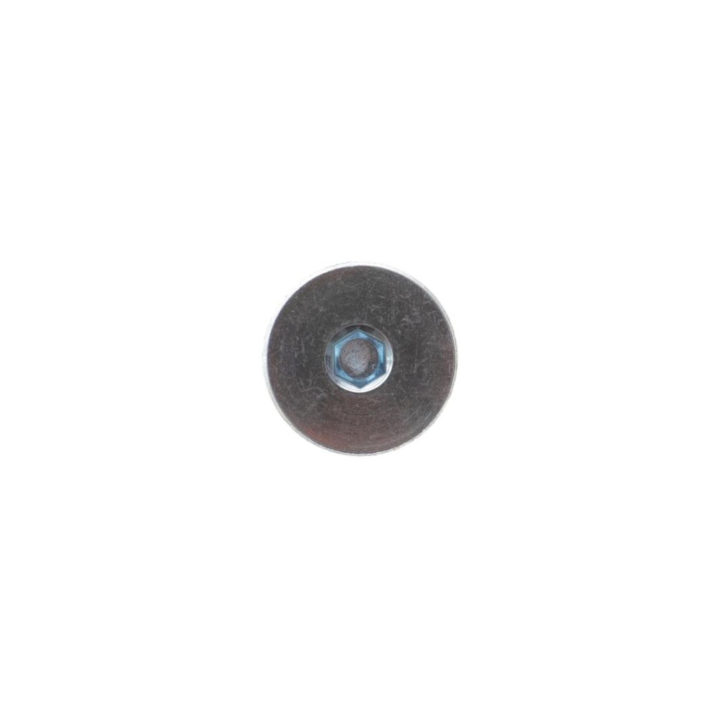 Пробка піддону картера АКПП зливна VW T5 3.2 VR6/2.5 TDI 03-09 (M10x1)