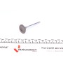 Клапан (впуск) Citroen Berlingo/Peugeot Partner 1.6 16V 00- (31.2x6x103.80) (вальцювання)