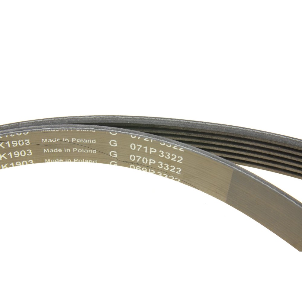 Комплект ременя генератора Opel Astra/Vectra 89-02 (6PK1903)