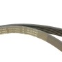 Комплект ременя генератора Opel Astra/Vectra 89-02 (6PK1903)